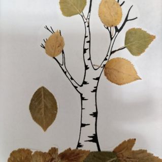 "Осенняя берёзка".