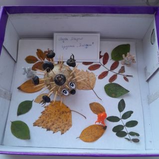 Ежик в лесу