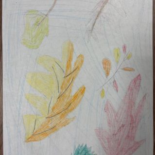 Осенний листопад