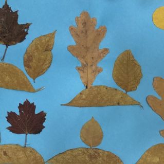 Осенний лес