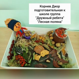 Лесная поляна