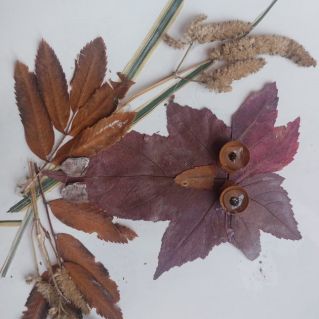 Осенняя птица