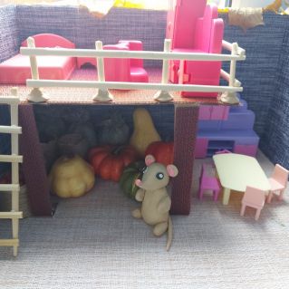 Мышкина норка