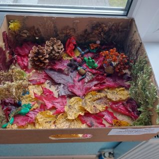 Осенняя фантазия