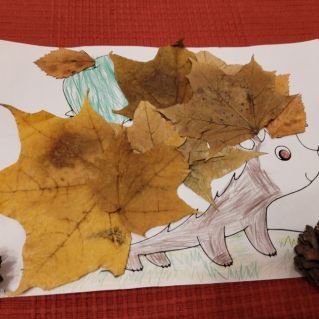 Осенний наряд колючего друга!