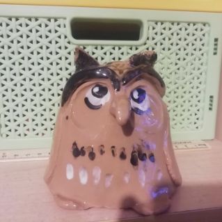 Лесная сова