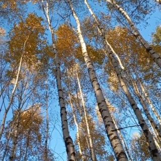Уж небо осенью дышало.