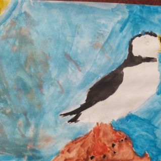 Птицы- наши друзья