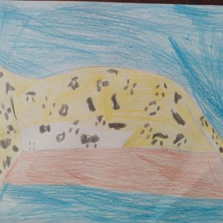 Хищные животные