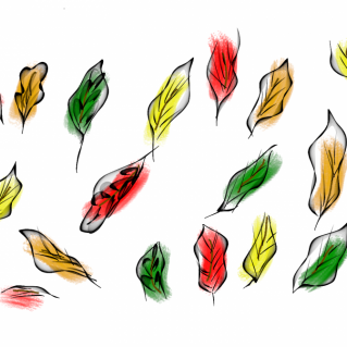 Разноцветные листья