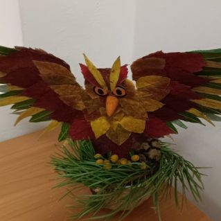 Совушка-сова.