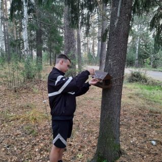 Помощь птицам