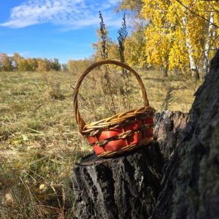 "Одета в золото природа"