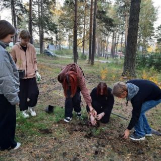 Лес-наше богатство