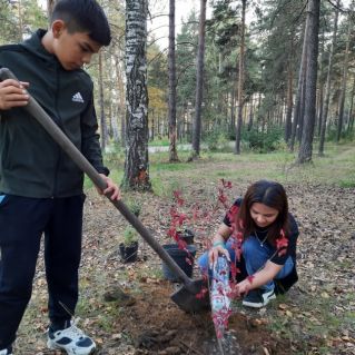 Умеем помогать природе