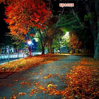 "Осенние краски"