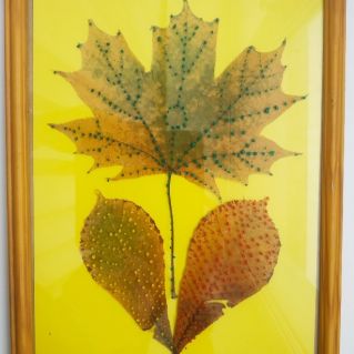 "Кленовая фантазия"