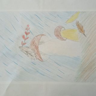 Грибная пора