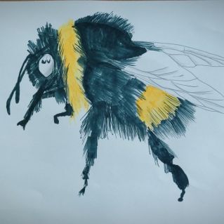 Bombus paradoxus