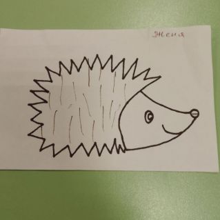 Иголочки для ёжика