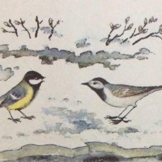 «Синичкины посиделки»