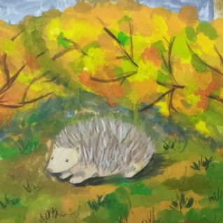 Осень в лесу