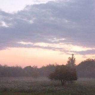 Горловка. Утренний туман