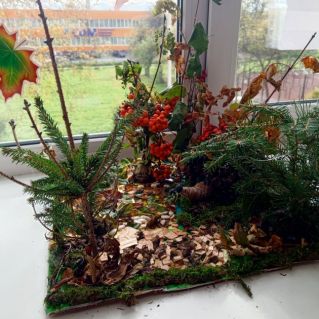 "Богатства осеннего леса"