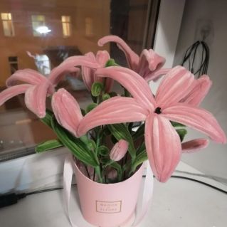 Любимой маме