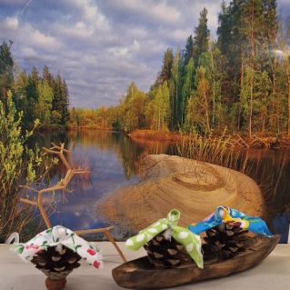 Бабушки на природе