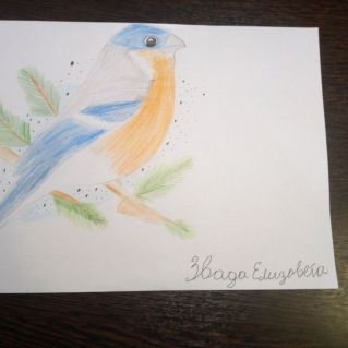 Синяя птичка счастья!