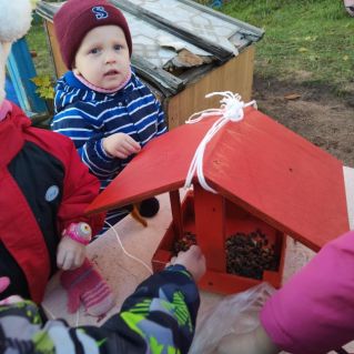 Покорми птиц"Синичкин день"