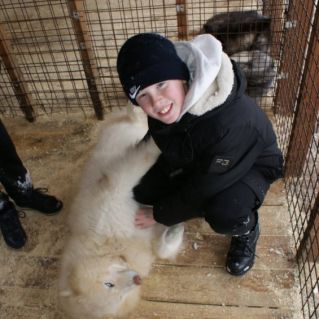 Мой друг - хаски!