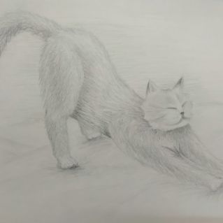 Мурка проснулась