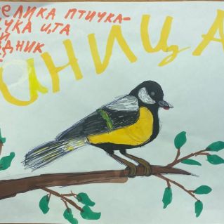 Птичка-синичка