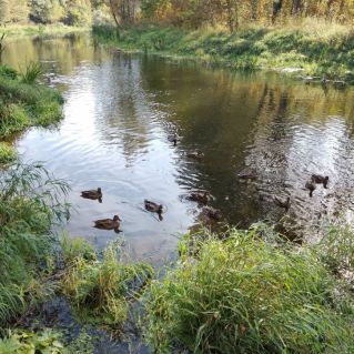 Река Клязьма