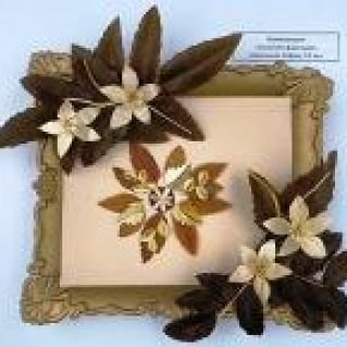 "Осенняя фантазия"