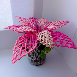 Цветок желаний