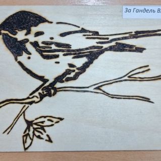 Птичка - синичка