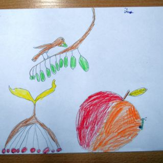 Щедрые дары осени