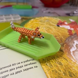 Мы в ответе за тех, кого приручили