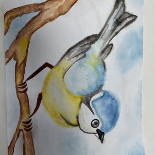 «Птичка-синичка»