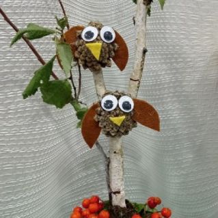 Совушки в лесу