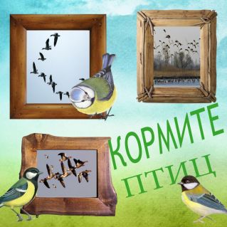 Плакат "Кормите птиц"
