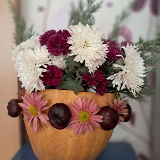 «Застывшее мгновение осени»