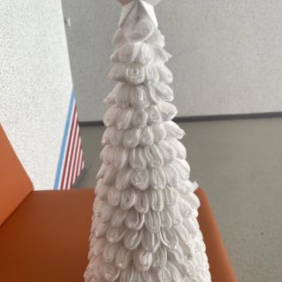 Зимняя красавица