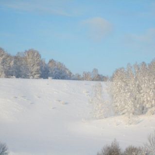 Зимняя сказка