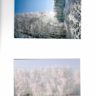 Посеребрила Зимушка-зима