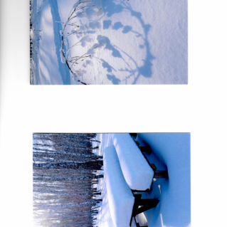 Под снежным пуховым одеялом