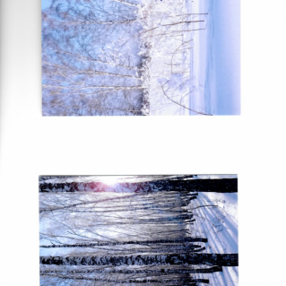 Зимний лес гостей принимает